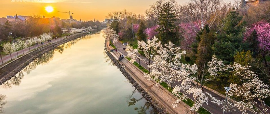 timisoara primavara